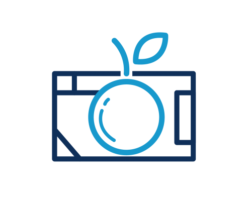 Lunchbox Photography logo